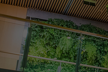 Climate thumbnail 022026