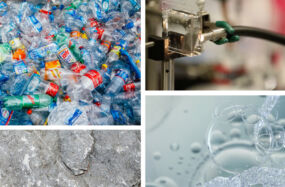 Translational Fund graphic