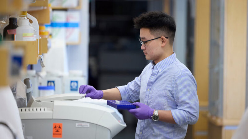 ISRA pic Researcher in the Hotamışlıgil lab