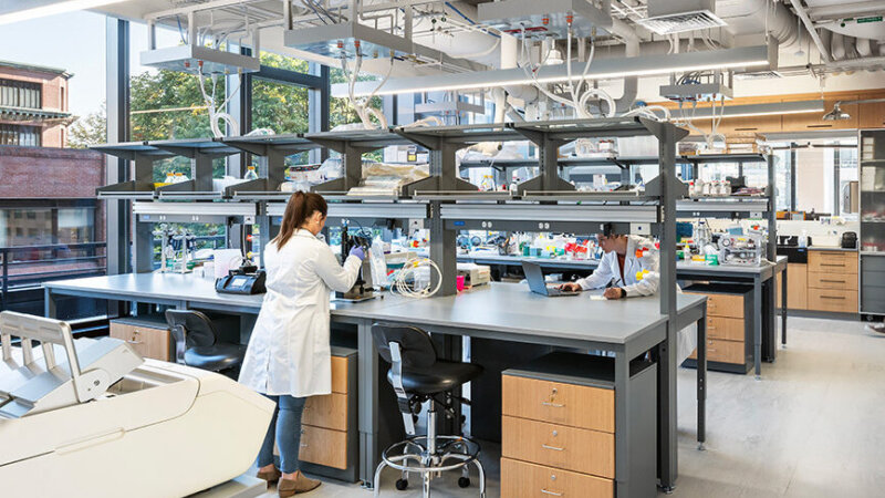 Wyss Institute at Harvard University 2026 08 24 174049 ehiq