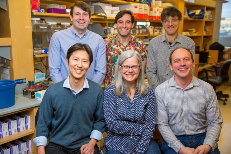 DNA Nanoswitch Team
