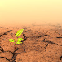 Climate change gi cinefootage visuals