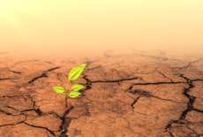 Climate change gi cinefootage visuals