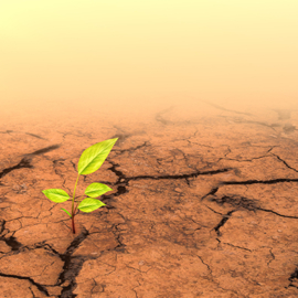 Climate change gi cinefootage visuals