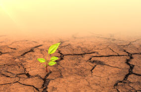 Climate change gi cinefootage visuals