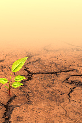 Climate change gi cinefootage visuals