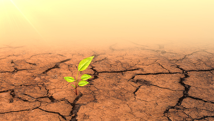 Climate change gi cinefootage visuals