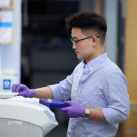 Researcher in the Hotamışlıgil lab