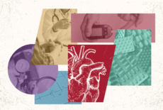 Findings heart disease header 1920