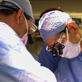 Surgeons transplant a pig kidney