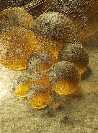 Artist's rendering of adipocytes, as translucent spheres.