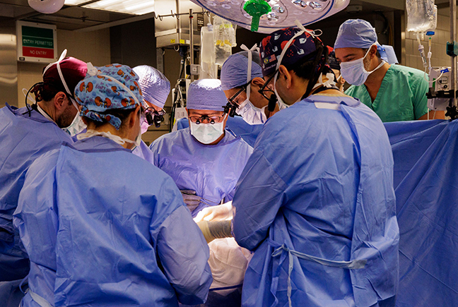 Surgeons transplant a genetically edited pig kidney into patient Tim Andrews