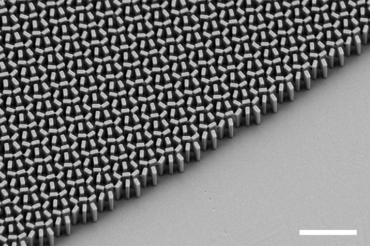 Scanning electron microscope micrograph of a metalens fabricated in the Capasso Lab at Harvard SEAS.