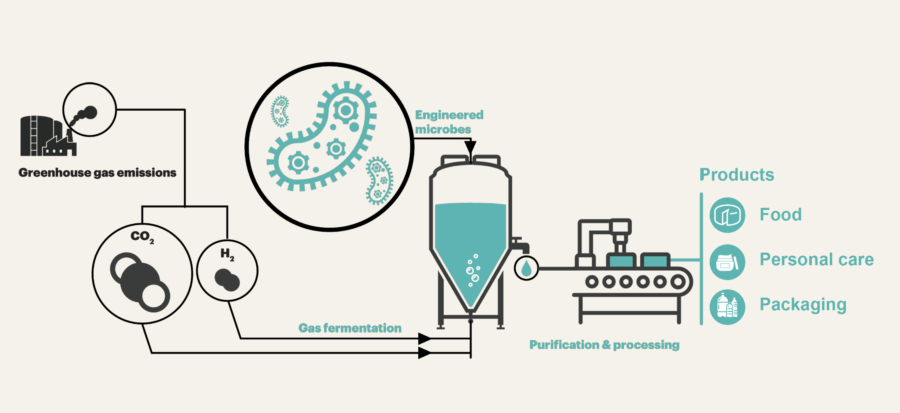 Circe Bioscience licenses technology to decarbonize industry with…