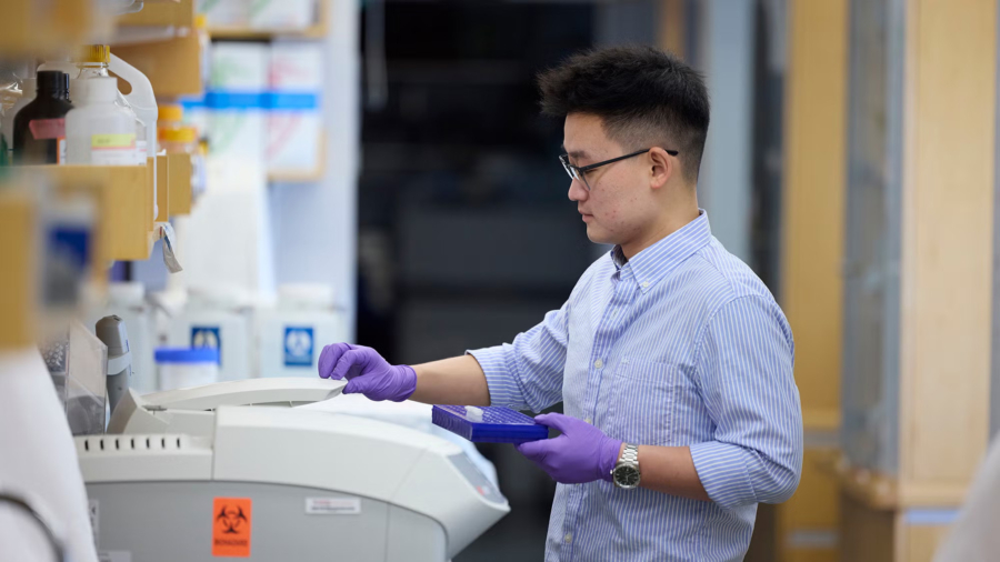 Researcher in the Hotamışlıgil lab