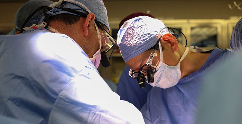 Surgeons transplant a pig kidney