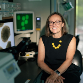 Paola Arlotta FT9 A1750 - Image for Lab-grown brain ‘organoids’ set longevity record