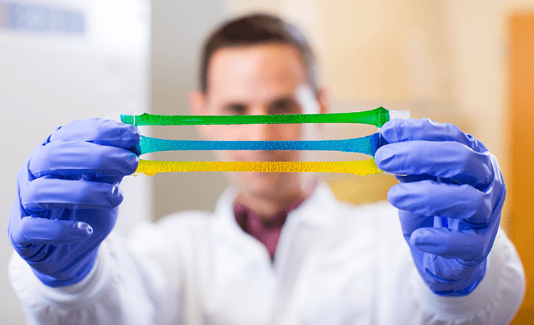Scientist stretching several bands of hydrogel, demonstrating their strength.