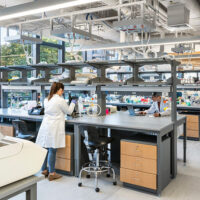 Wyss Institute at Harvard University