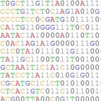 Bioinformatics 400sq