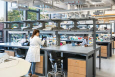 Wyss Institute at Harvard University