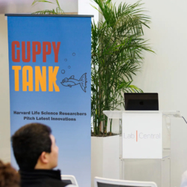 Guppy Tank event - Image for Think ‘Shark Tank,’ without the teeth