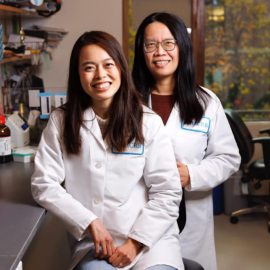 Hannah Tam and Ya Chieh Hsu - Image for Study suggests healing skin without scarring may be possible