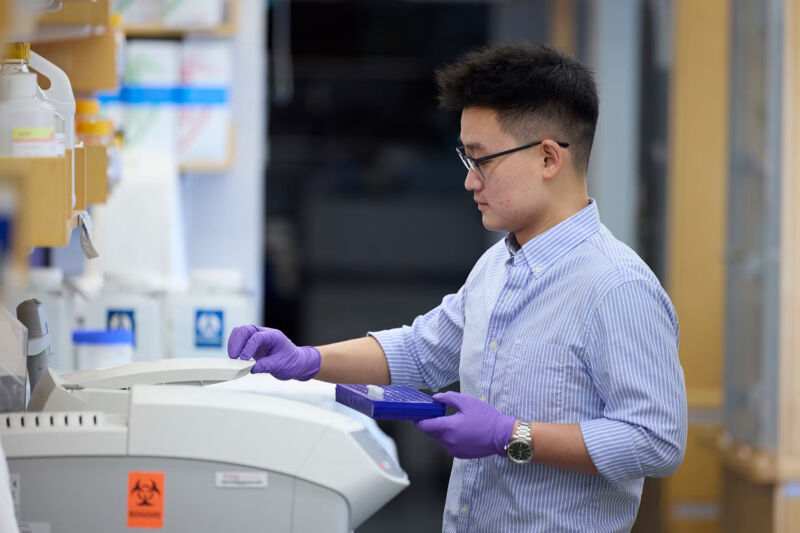 Researcher in the Hotamışlıgil lab
