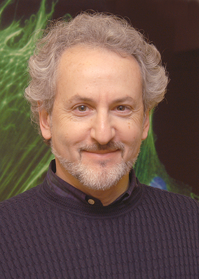 Don Ingber