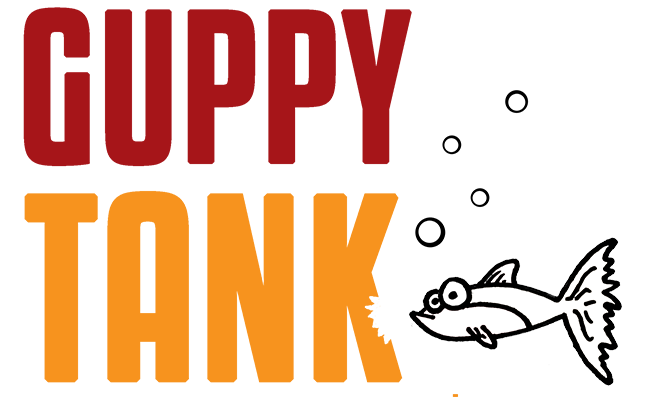 Guppy Tank