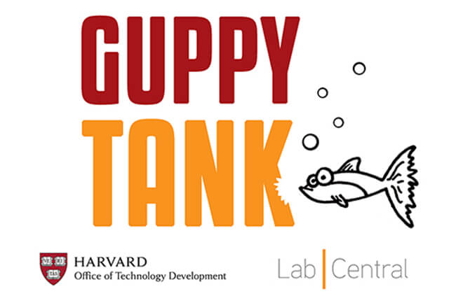 Guppy Tank